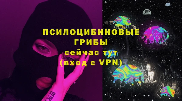 индика Абаза